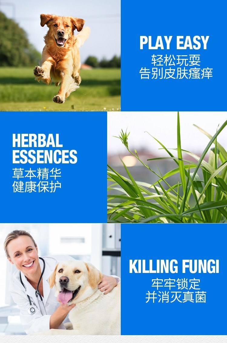 贝斯 宠 喷剂 100ml chó mèo ve nấm bệnh nấm da viêm da chàm - Cat / Dog Medical Supplies 	các loại kim tiêm thú y	