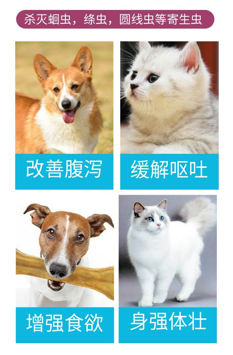 Chó bướm New Zealand phổ quát phòng ngừa ve, ve, tuyến trùng, giun móc, vv - Cat / Dog Medical Supplies giá máy siêu âm chó mèo