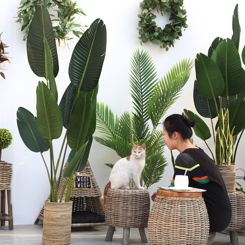 Home Living Room Net Red Nordic Emulation Plant Potted Turtle Back Taro Large Leaf Bonsai Tourist Banana Green Plant Decoration