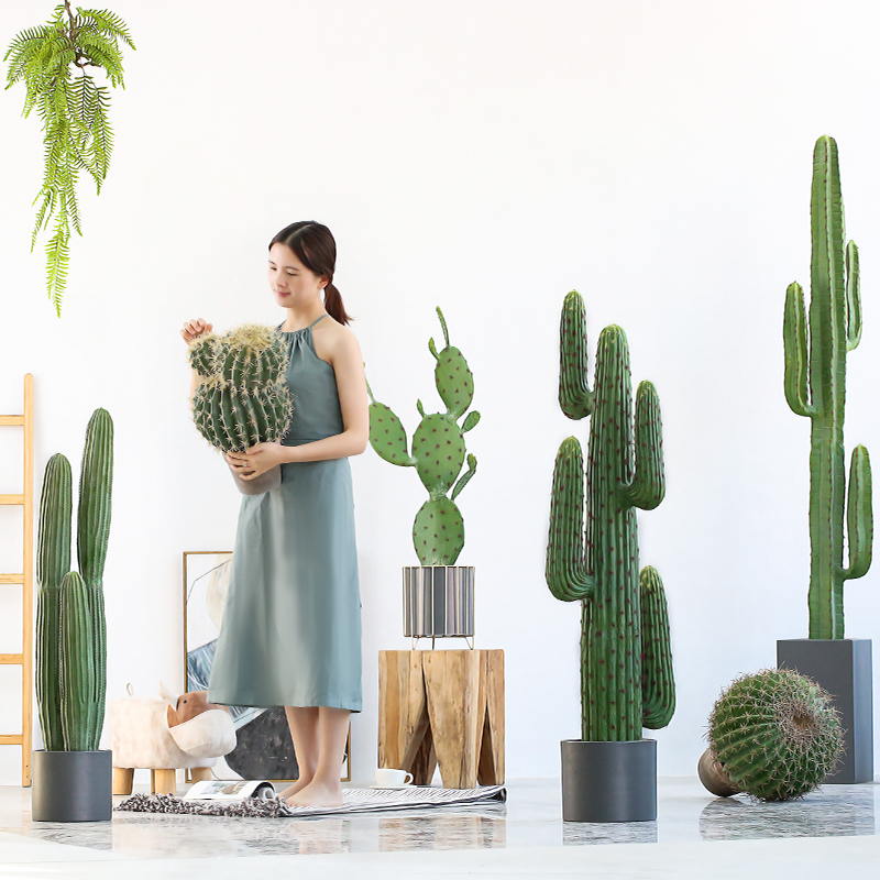 Roman Dad Nordic Ins Emulation Plant Decorative Cactus Bonsai Fake Fairy Post Big Green Plant to Swing Piece