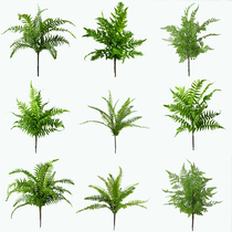 Roman dad Nordic ins simulation green plant simulation grass bunch ferns flower arrangement home decoration photo props