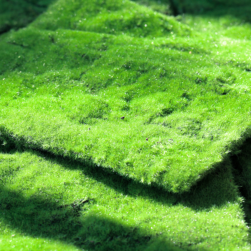 Artificial moss moss block Artificial turf Window lawn landscaping Fake green plants micro-landscape bonsai paving decoration