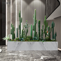 Romans dad indoor creative landscaping simulation plant large cactus cactus column floor combination bonsai decoration