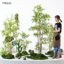 Nordic ins simulation plant decoration fake green plant fake bamboo potted home clothing store restaurant floor ornaments