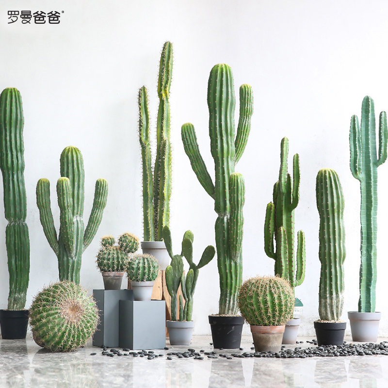 Roman Papa Nordic large imitation green plant cactus package indoor landscape plant landscaping window ornaments