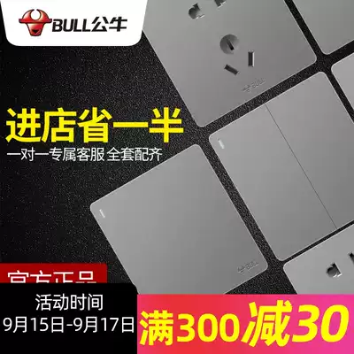 Bull switch socket panel porous g12 gray household type 86 plug-in wall wall concealed whole house package