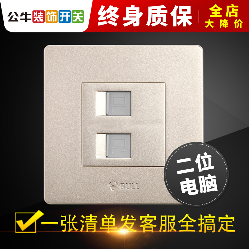 Bull 2 Dual Computer Panel Network Route Network Module Broadband Dual Network Port Information Socket Switch 86 Type of Home