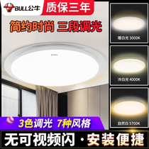 Bull led ceiling lamp simple modern round bedroom lamp living room lamp aisle restaurant sun lamp household lamp