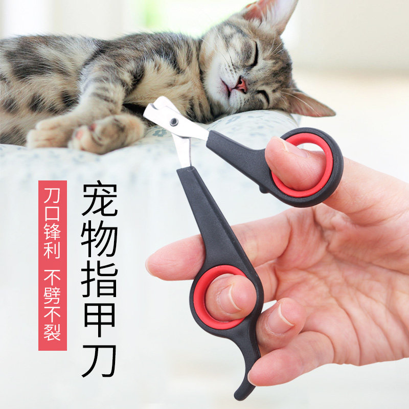 Pet nail clippers cat kittens universal nail scissors cat supplies Garfield English short puppet nail clippers