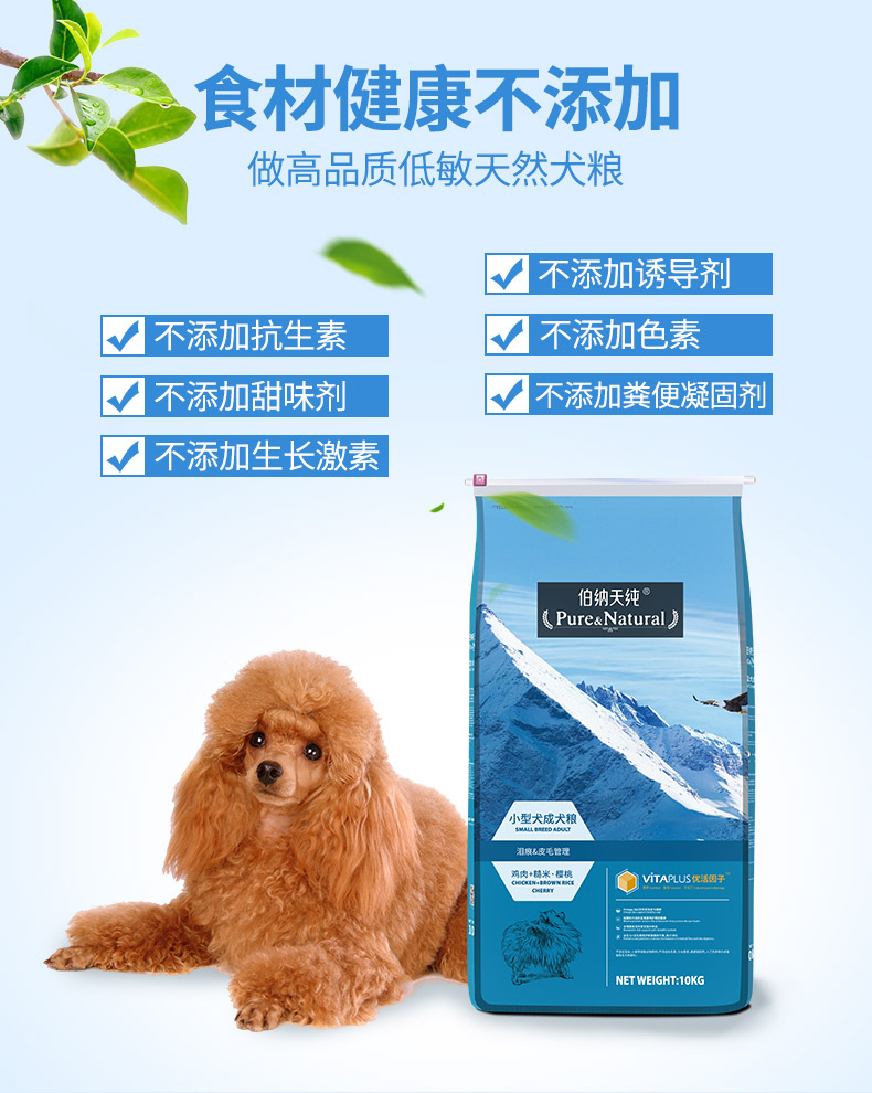 Thức ăn cho chó thuần chủng chó Bernardian chó nhỏ hơn 10kg so với luật Xiong Keji chiến đấu với chó trưởng thành tự nhiên có độ nhạy thấp - Chó Staples đồ ăn của chó