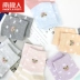 Nam Cực vớ cotton quà tặng hộp cotton cotton sinh viên dễ thương vớ ống thoáng khí