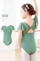 Dou Green-Sports Server