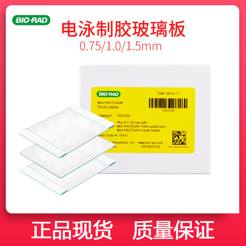 BIO-RAD伯乐1653311厚玻璃板 蛋白电泳制胶  1.0mm胶厚度