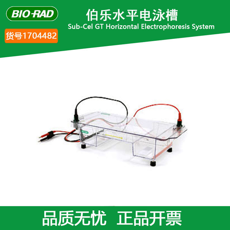 伯乐BIO-RAD核酸水平电泳槽 Sub Cell GT实验室用大型水平电泳槽