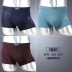 Quần lót khiêu vũ với chó sói Boxers thanh niên thời trang modal thoáng khí quần short boxer 2 gói quần sịp doremon Nam giới