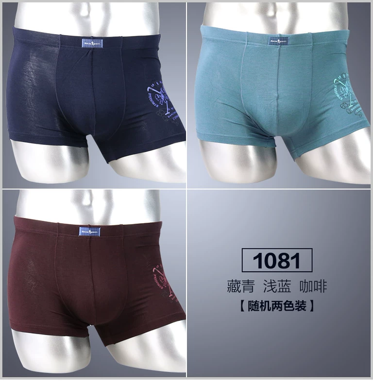 Quần lót khiêu vũ với chó sói Boxers thanh niên thời trang modal thoáng khí quần short boxer 2 gói quần sịp doremon