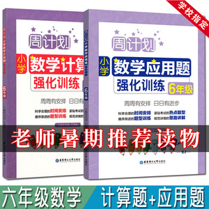 全2册周计划 小学数学 计算题+应用题强化训练 六年级+小升初/6年级上下册 含分步解答+答案详解 小学六年级数学口算搭配人教版