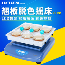 Lichen technology Digital Display rocker decolorization Shaker Laboratory electrophoresis gel decolorization swing oscillator speed Shaker