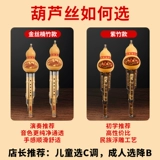 Музыкальные инструменты для начинающих для школьников, защита при падении, официальный флагманский магазин