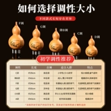 唐音 Натуральный Hulusi Musical Instrument Special C-Down B-Down Beginters и пожилой флагманский магазин DGFA