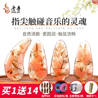 唐音 Guzheng Nails -Королевные профессиональные выступления -Уровень для взрослых для взрослых, младшие ученые дети встряхивают гвозди большие и маленькие