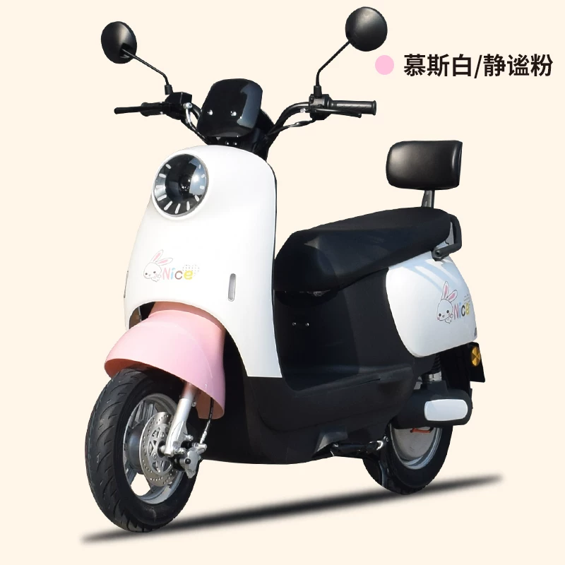 Small electric car, electric high speed pedal for adults for double, 48v, 60v, 72v