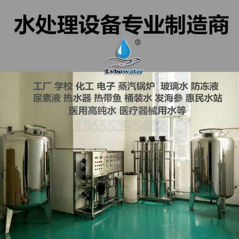 Double Stage Reverse Osmosis Water Treatment Equipment High Pure Water Pharmaceutical Urea Deionised Water Commercial Water Purification Industrial Water Filtration