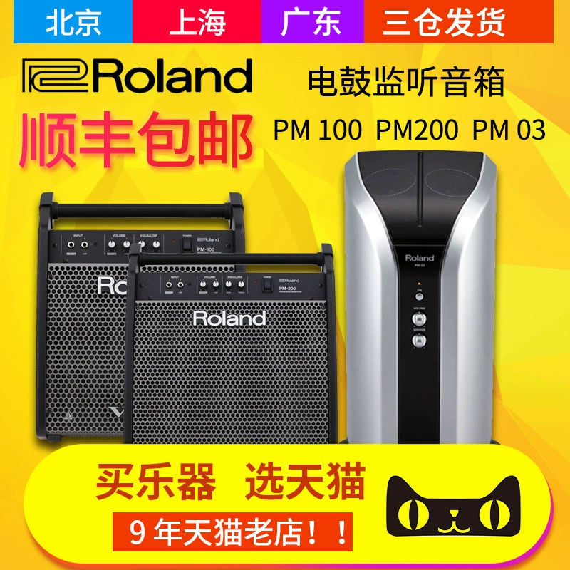 Roland Roland PM03 PM100 PM200 trống điện trống loa điện trống điện loa đệm âm thanh - Loa loa