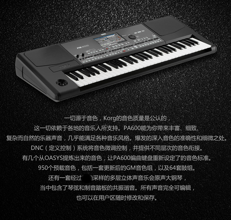 Keyin pa600 âm nhạc điện tử tổng hợp sắp xếp bàn phím đàn piano điện tử pa300 nâng cấp đàn piano điện casio