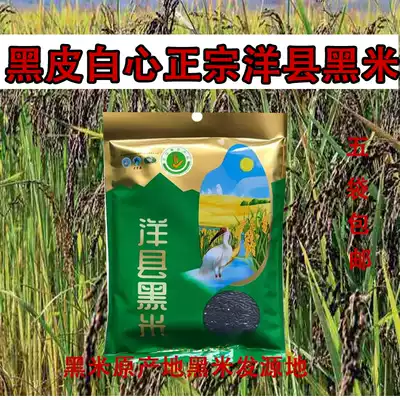 Hanzhong specialty Yangxian black rice new rice pure natural pollution-free farmers self-produced grain black glutinous rice 5 bags