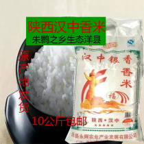 Rice Yang County Rice New Rice Fragrant Rice Farmers Grow Long Grain Fragrant Rice 10Kg Hanzhong Silver Fragrant Rice