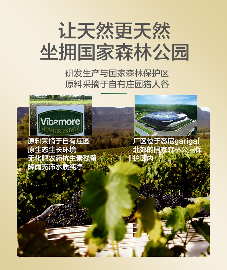 Viên nén vitamin tổng hợp dành cho nam Vitamore 60 viên nang Người đàn ông trưởng thành Nhiều loại vitamin tổng hợp Sản phẩm sức khỏe của Úc - Thức ăn bổ sung dinh dưỡng thực phẩm chức năng bổ não