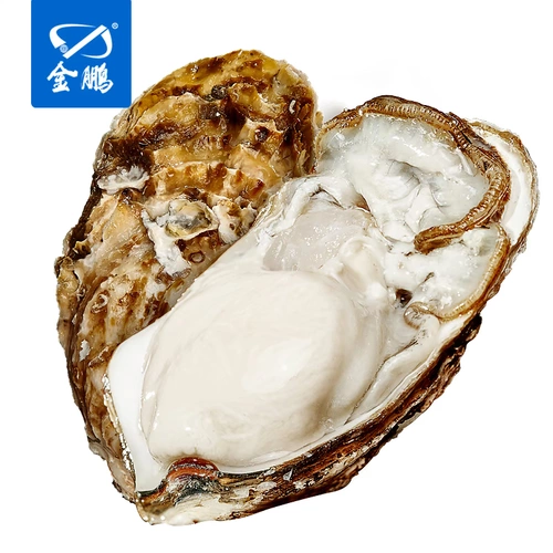 金鹏 Rushan Oyster 10 фунтов устричных ракушек, свежие устрицы, рыба, устричные морепродукты водные моллюски
