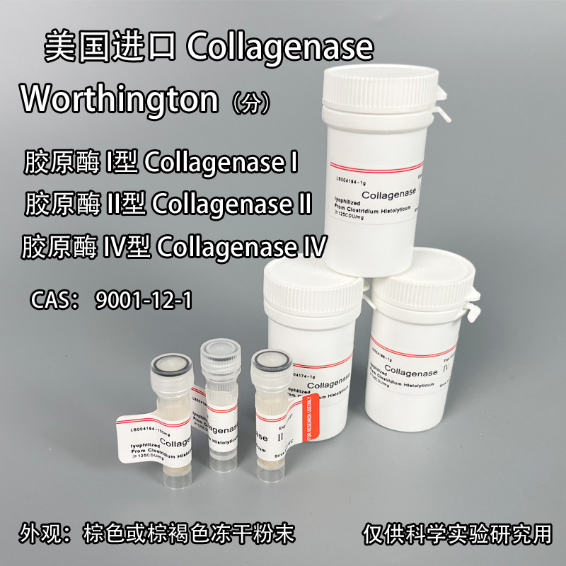 促销实验室胶原酶I型IICollaenase蛋白酶细胞分离科研进分IV组织