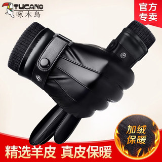 Woodpecker Genuine Leather Gloves for Men, Winter Cycling, Warm, Motorcycle Driving, Fleece-Lined, Thickened, Touchscreen, Sheepskin, for Riding