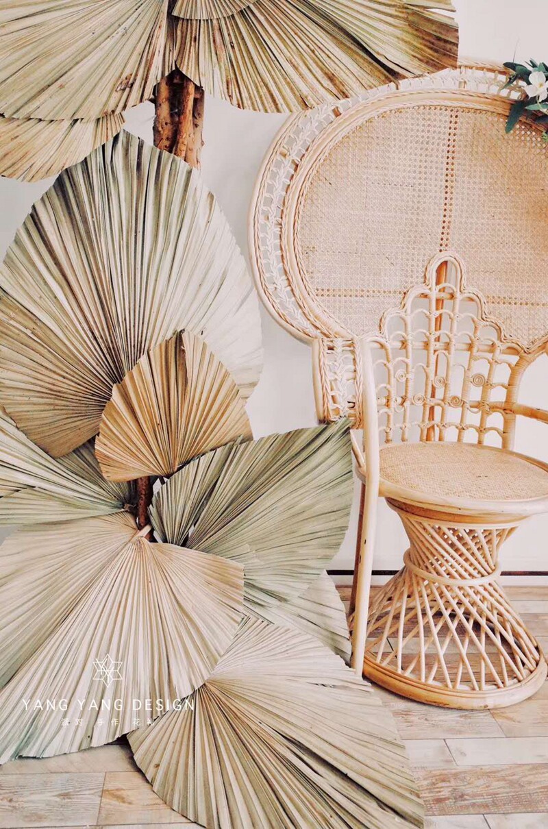 (Busfan Bleached) Dry flower decoration Photo Props Beauty Chen Device 20 Zhang Hair Part With Spot Dust Scale