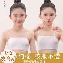 Girl Lingerie Hair Birth Primary School Pupils 7-10-12-14 Year Old First Stage Anti-Bump Pure Cotton Children Small Vest