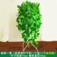 Hoa giả treo tường mô phỏng treo chậu cây địa lan nho trang trí nhựa hoa nho xanh cây nho mây điều hòa không khí phòng khách - Hoa nhân tạo / Cây / Trái cây