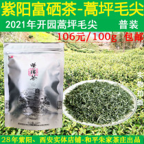 In 2021 the new tea before the opening of the garden Shaanxi Ankang Ziyang selenium-rich tea Artemisia sparse green tea-Haoping Maojian 100g