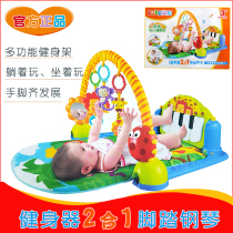 Australian Bay Fitness Rack Circus Fitness Rack Forest Fitness Rack Pedantic Piano Music Fitness Rack 463325