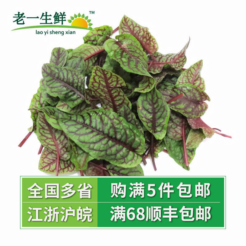 (old one fresh) fresh sour film sour mold leaves red sour film grass western food decoration plate 1 box about 40 pieces