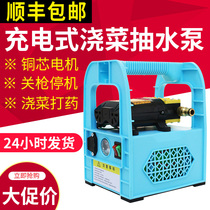 Rechargeable portable pump portable car wash watering vegetable outdoor pump household electric sprayer portable pump
