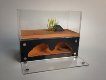 Middle fireplace A Ant nest ant ant Villa Ant factory Ant Castle Ant pet