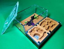 In the Ant Castle S nest expand the single water tower small group to the large group without changing the nest Ant ranch workshop