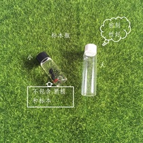 Specimen bottle of a small tummy ant pavilion.