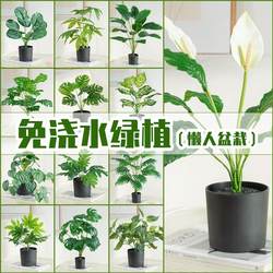 Simulated Plants, Scandinavian Decoration, Small Potted Plants, Office Living Room Desktop, Indoor Bonsai Ornaments, Bionic Fake Flowers and Green Plants