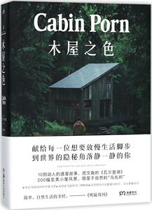 正版包邮 木屋之色 (美)扎克·克莱因(Zach Klein) 编;刘丽娜 译 著 摄影艺术（新）艺术 湖南美术出版社有限责任公司