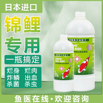 Japan Import Fish Pond Germicide Disinfection Drug Brocade Carp Disease Medicine Universal Disease Treatment Rotten meat Rotten Tail of Pest Drug Water