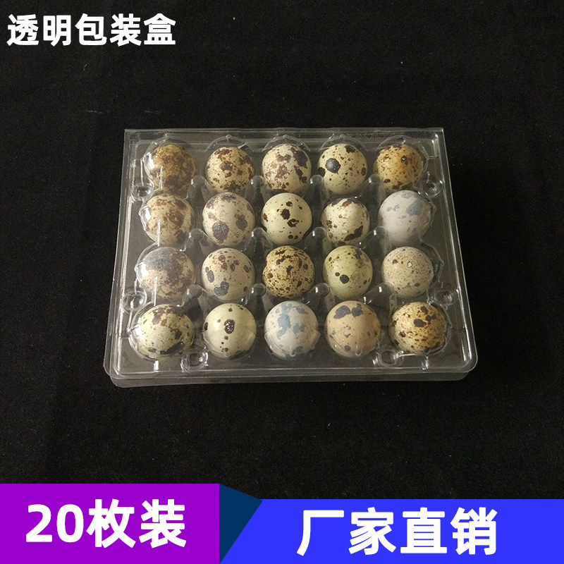 Direct sales of 20 quail egg trays, quail egg packaging box, self-contained buckle disposable transparent plastic bird egg packaging box