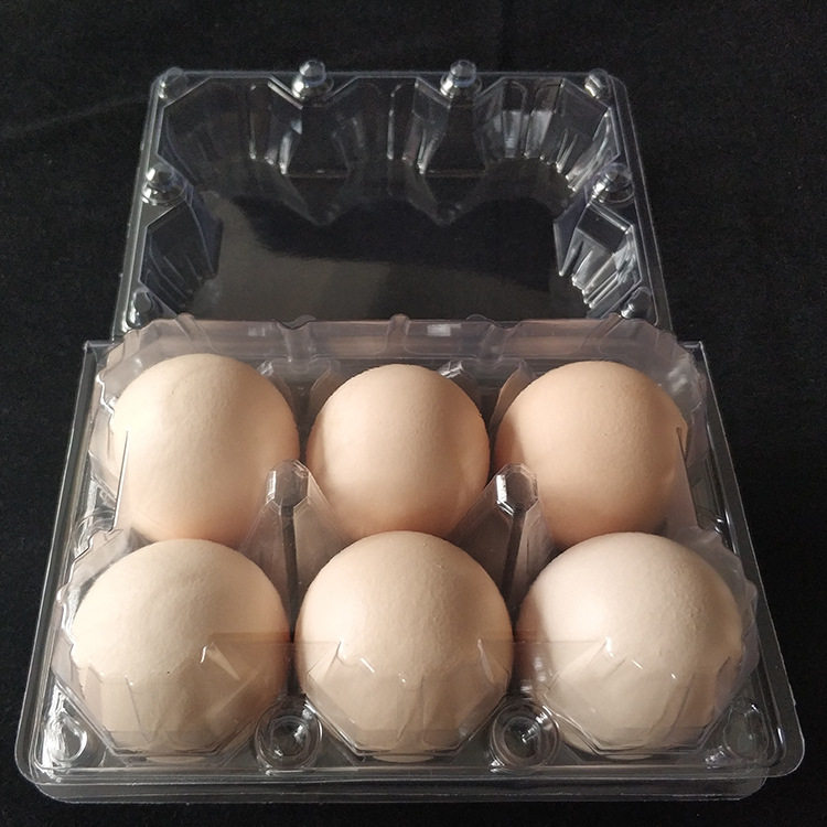 6 large, medium and small transparent plastic egg trays Disposable firewood egg gift box packaging green shell egg duck egg tray